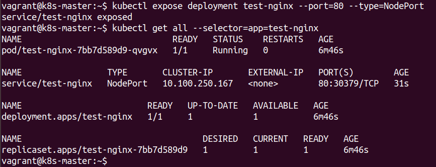 Expose-Test_Deployment