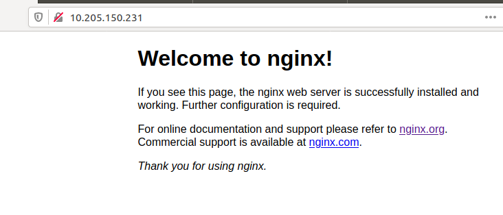 NginxTestPage