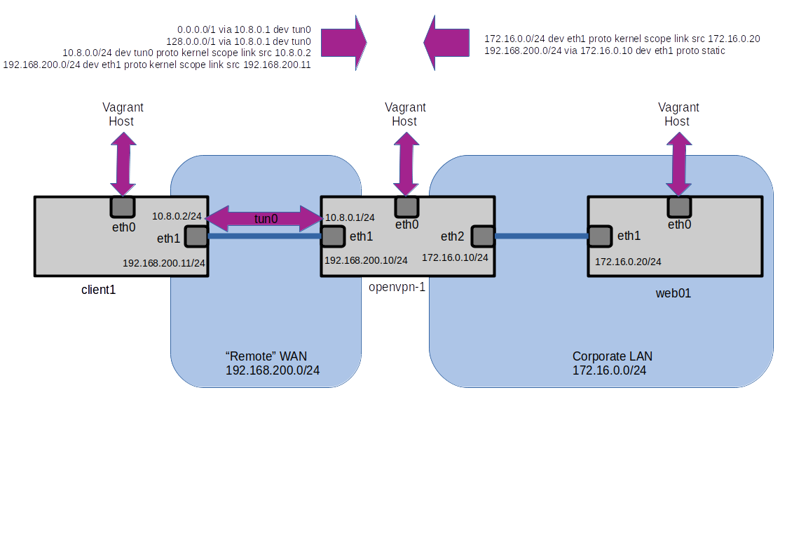 OpenVPNLab2